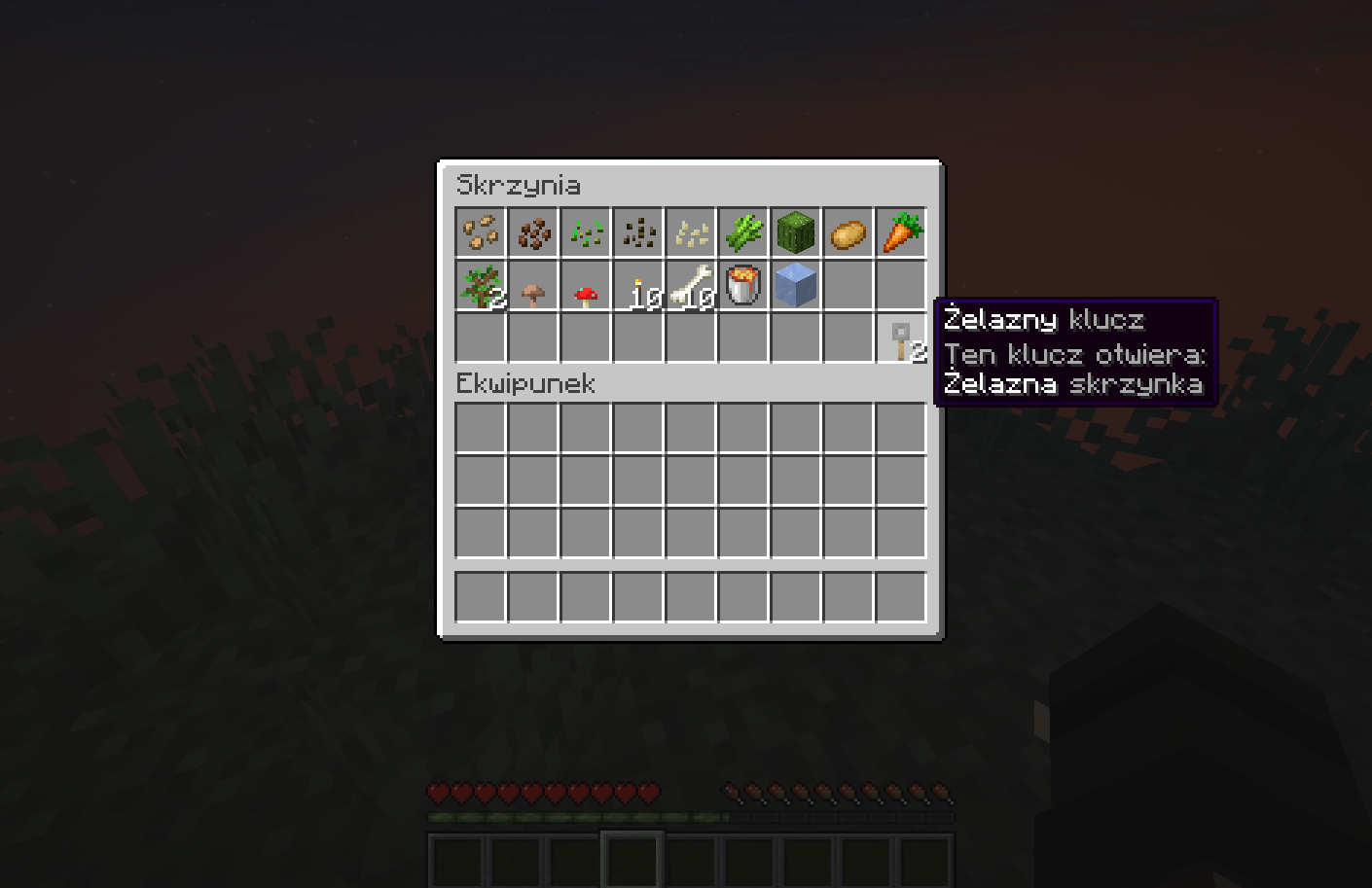 Startowa wyspa SkyBlock